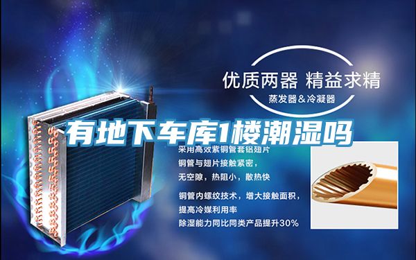 有地下車(chē)庫(kù)1樓潮濕嗎