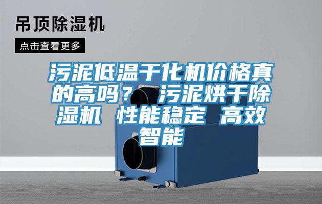 污泥低溫干化機價格真的高嗎？ 污泥烘干除濕機 性能穩(wěn)定 高效智能