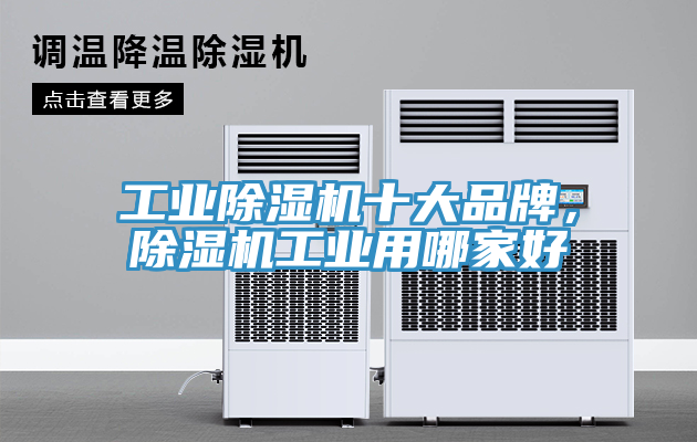 工業(yè)除濕機(jī)十大品牌，除濕機(jī)工業(yè)用哪家好