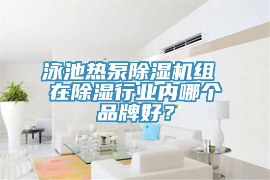 泳池?zé)岜贸凉駲C組 在除濕行業(yè)內(nèi)哪個品牌好？