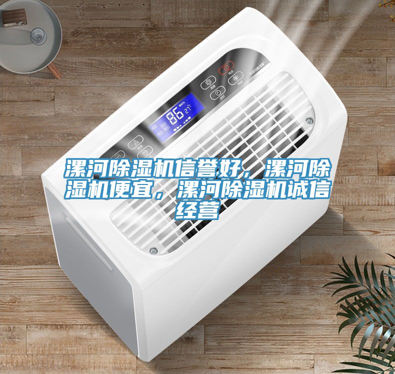 漯河除濕機(jī)信譽(yù)好，漯河除濕機(jī)便宜，漯河除濕機(jī)誠(chéng)信經(jīng)營(yíng)