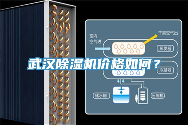 武漢除濕機(jī)價(jià)格如何？