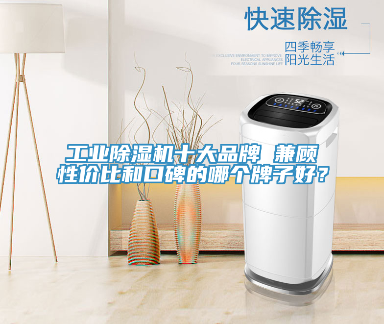 工業(yè)除濕機(jī)十大品牌 兼顧性價比和口碑的哪個牌子好？
