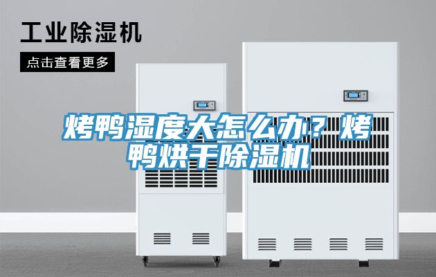 烤鴨濕度大怎么辦？烤鴨烘干除濕機(jī)
