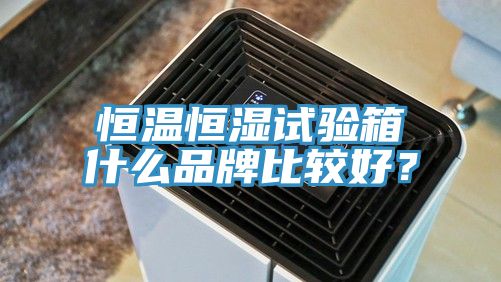 恒溫恒濕試驗箱什么品牌比較好？