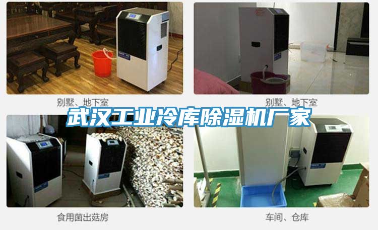 武漢工業(yè)冷庫(kù)除濕機(jī)廠(chǎng)家