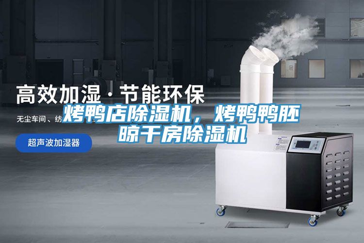 烤鴨店除濕機(jī)，烤鴨鴨胚晾干房除濕機(jī)
