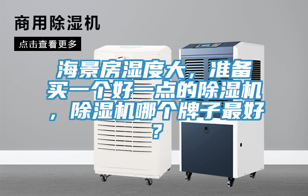 海景房濕度大，準(zhǔn)備買一個(gè)好一點(diǎn)的除濕機(jī)，除濕機(jī)哪個(gè)牌子最好？