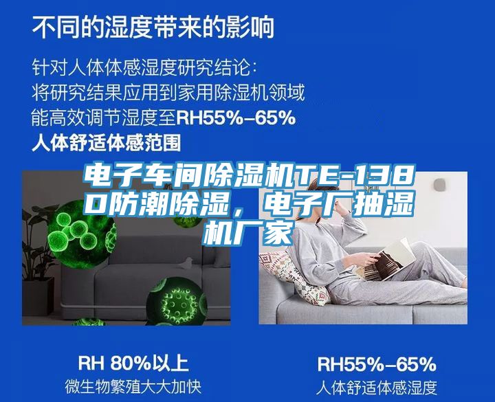 電子車間除濕機TE-138D防潮除濕，電子廠抽濕機廠家