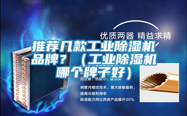 推薦幾款工業(yè)除濕機(jī)品牌？（工業(yè)除濕機(jī)哪個(gè)牌子好）