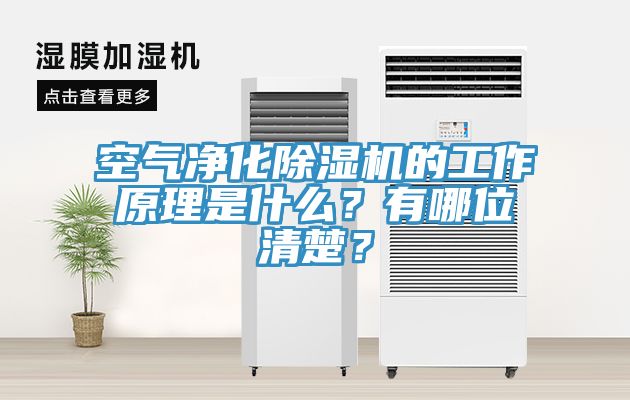 空氣凈化除濕機(jī)的工作原理是什么？有哪位清楚？
