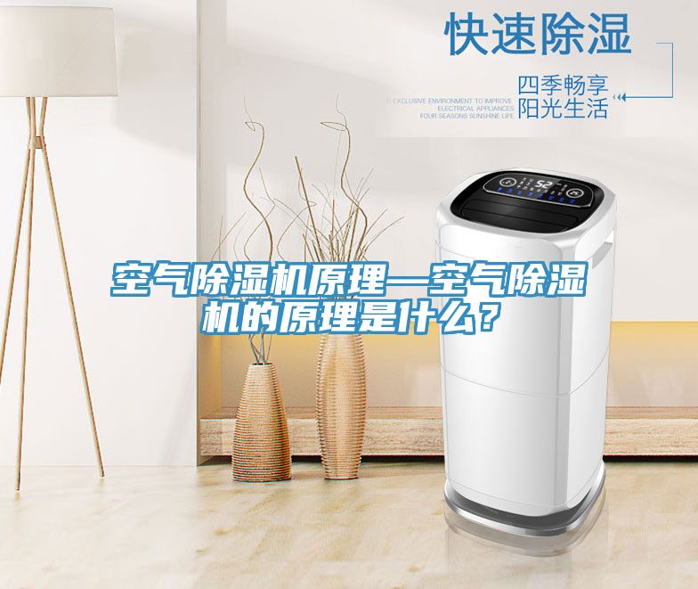空氣除濕機(jī)原理—空氣除濕機(jī)的原理是什么？