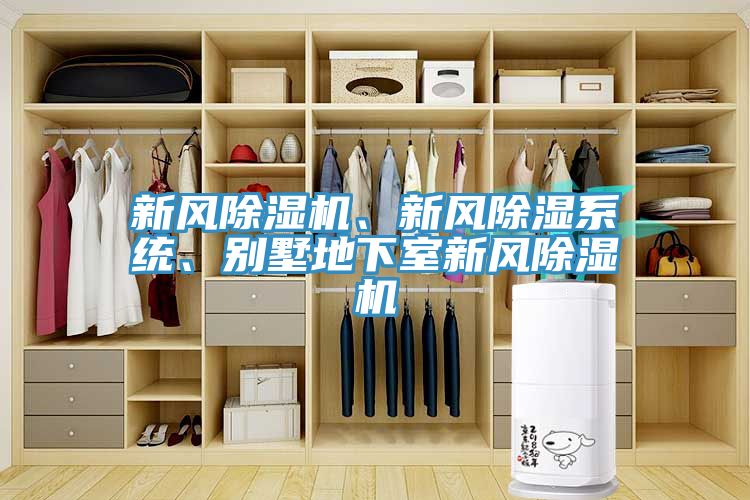 新風除濕機、新風除濕系統(tǒng)、別墅地下室新風除濕機