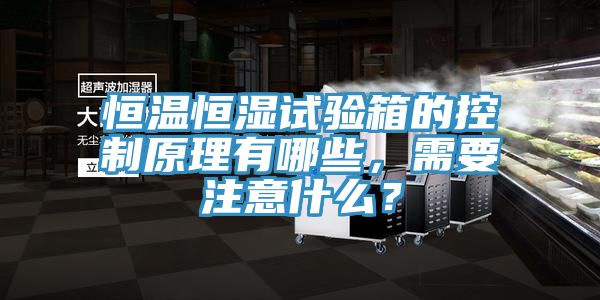 恒溫恒濕試驗(yàn)箱的控制原理有哪些，需要注意什么？