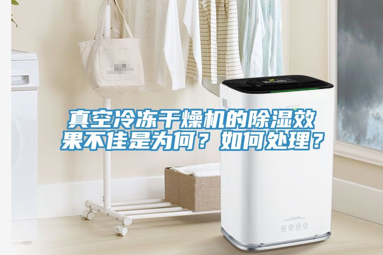 真空冷凍干燥機(jī)的除濕效果不佳是為何？如何處理？