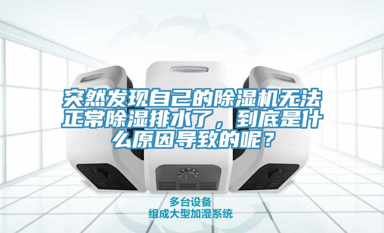 突然發(fā)現(xiàn)自己的除濕機無法正常除濕排水了，到底是什么原因?qū)е碌哪兀?></div>
								<div   id=