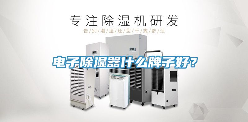 電子除濕器什么牌子好？