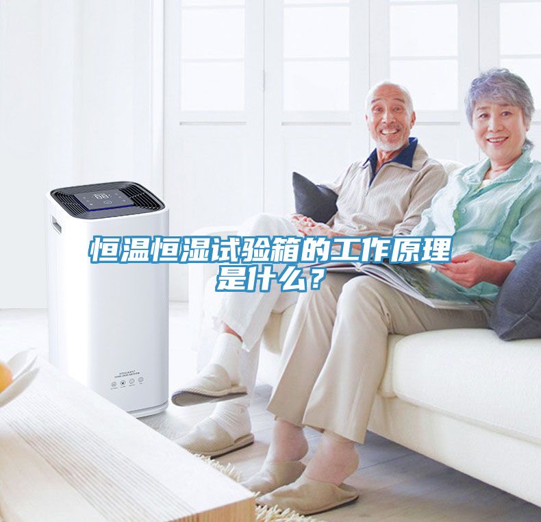 恒溫恒濕試驗(yàn)箱的工作原理是什么？