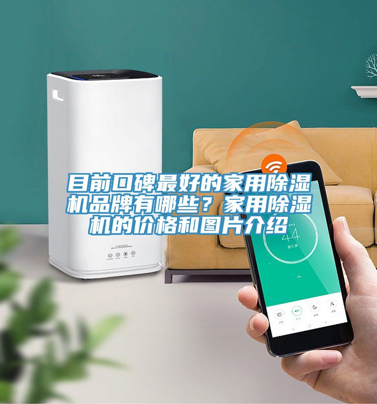目前口碑最好的家用除濕機(jī)品牌有哪些？家用除濕機(jī)的價(jià)格和圖片介紹