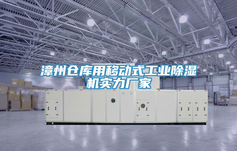 漳州倉庫用移動式工業(yè)除濕機(jī)實(shí)力廠家