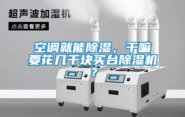 空調(diào)就能除濕，干嘛要花幾千塊買臺除濕機？