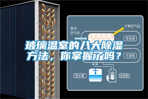 玻璃溫室的八大除濕方法，你掌握了嗎？