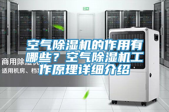 空氣除濕機(jī)的作用有哪些？空氣除濕機(jī)工作原理詳細(xì)介紹