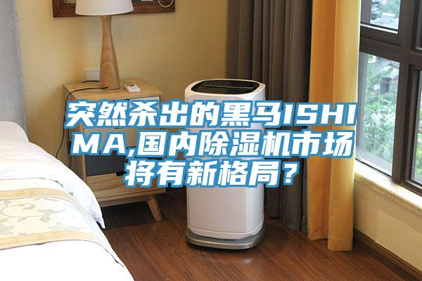 突然殺出的黑馬ISHIMA,國內(nèi)除濕機市場將有新格局？
