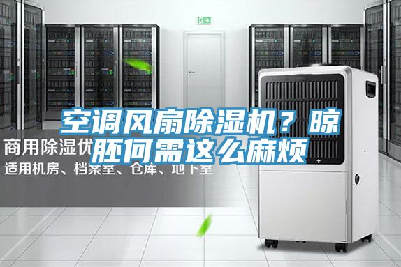 空調(diào)風扇除濕機？晾胚何需這么麻煩