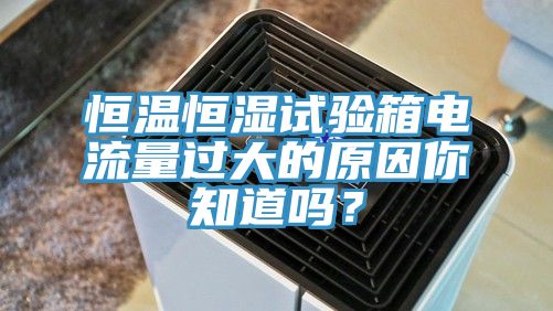 恒溫恒濕試驗(yàn)箱電流量過大的原因你知道嗎？