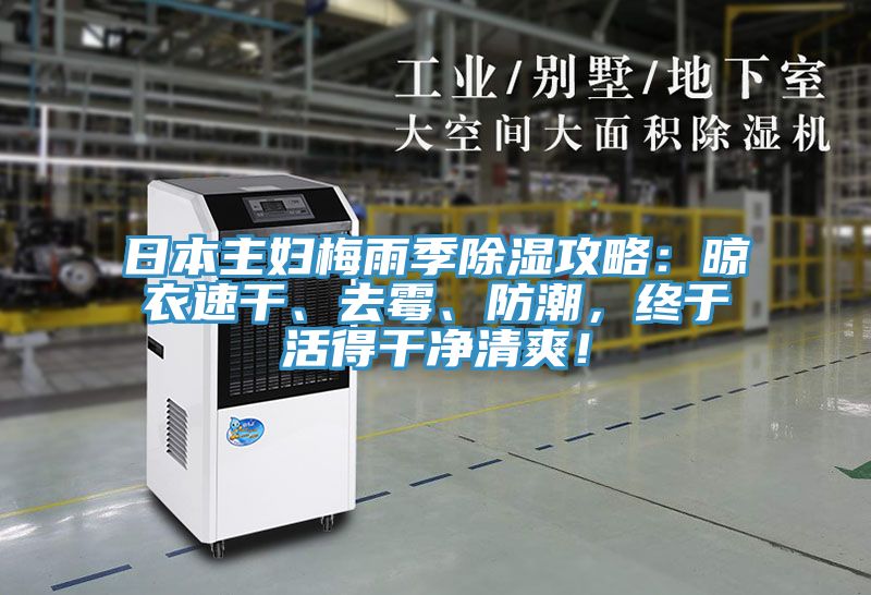 日本主婦梅雨季除濕攻略：晾衣速干、去霉、防潮，終于活得干凈清爽！