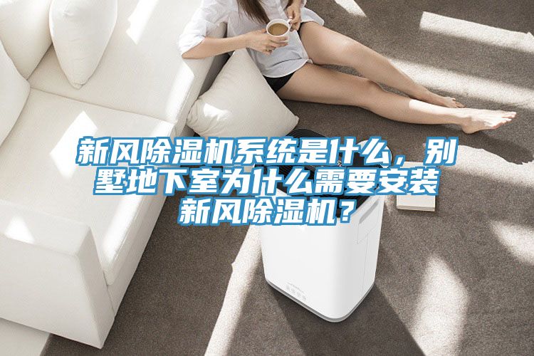 新風(fēng)除濕機(jī)系統(tǒng)是什么，別墅地下室為什么需要安裝新風(fēng)除濕機(jī)？