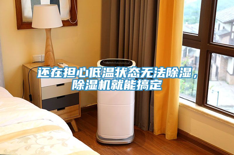 還在擔心低溫狀態(tài)無法除濕，除濕機就能搞定