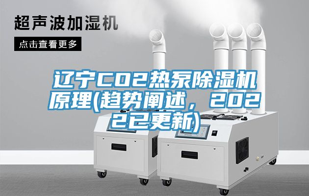 遼寧CO2熱泵除濕機原理(趨勢闡述，2022已更新)
