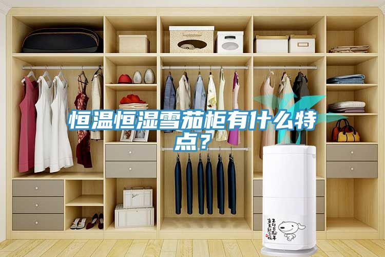 恒溫恒濕雪茄柜有什么特點？