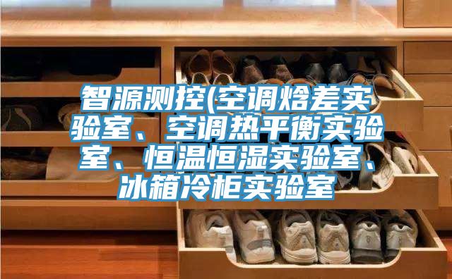 智源測(cè)控(空調(diào)焓差實(shí)驗(yàn)室、空調(diào)熱平衡實(shí)驗(yàn)室、恒溫恒濕實(shí)驗(yàn)室、冰箱冷柜實(shí)驗(yàn)室