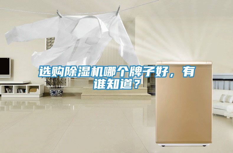 選購除濕機哪個牌子好，有誰知道？