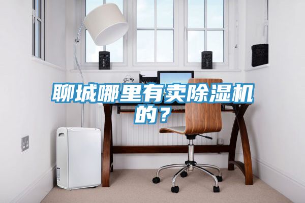 聊城哪里有賣除濕機的？