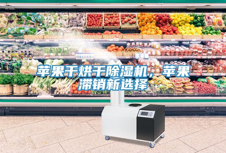 蘋(píng)果干烘干除濕機(jī)，蘋(píng)果滯銷(xiāo)新選擇