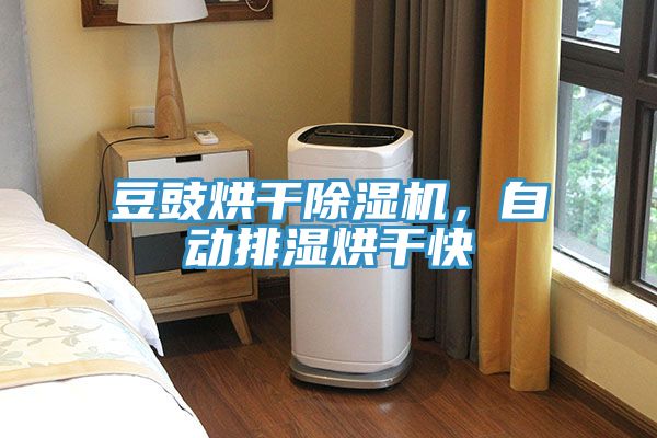 豆豉烘干除濕機(jī)，自動排濕烘干快