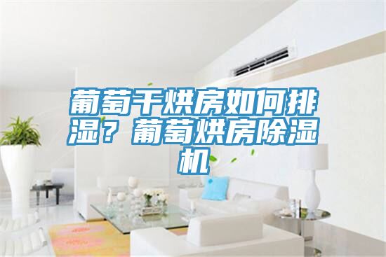 葡萄干烘房如何排濕？葡萄烘房除濕機(jī)