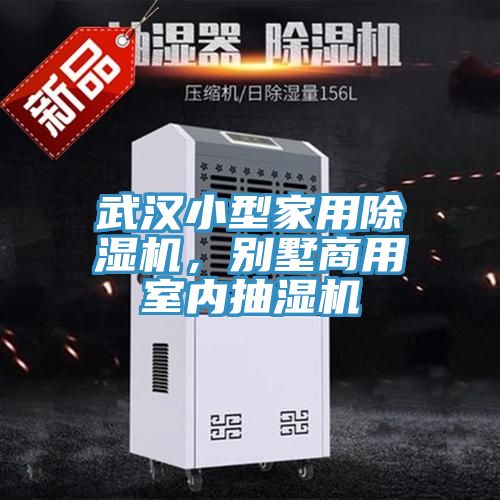 武漢小型家用除濕機(jī)，別墅商用室內(nèi)抽濕機(jī)