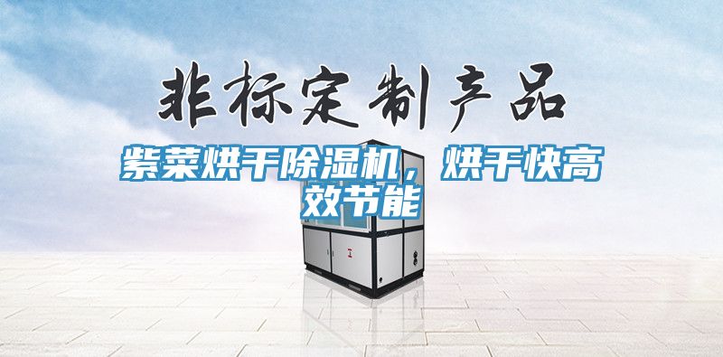 紫菜烘干除濕機，烘干快高效節(jié)能