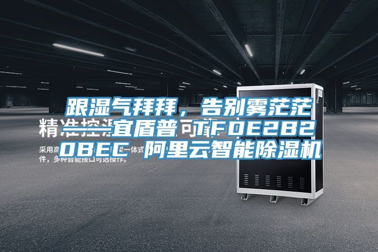 跟濕氣拜拜，告別霧茫?！硕芷?TFDE2B20BEC 阿里云智能除濕機(jī)