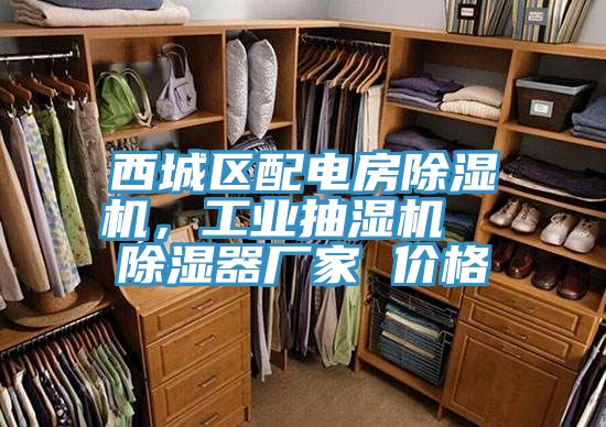 西城區(qū)配電房除濕機(jī)，工業(yè)抽濕機(jī)  除濕器廠家 價格