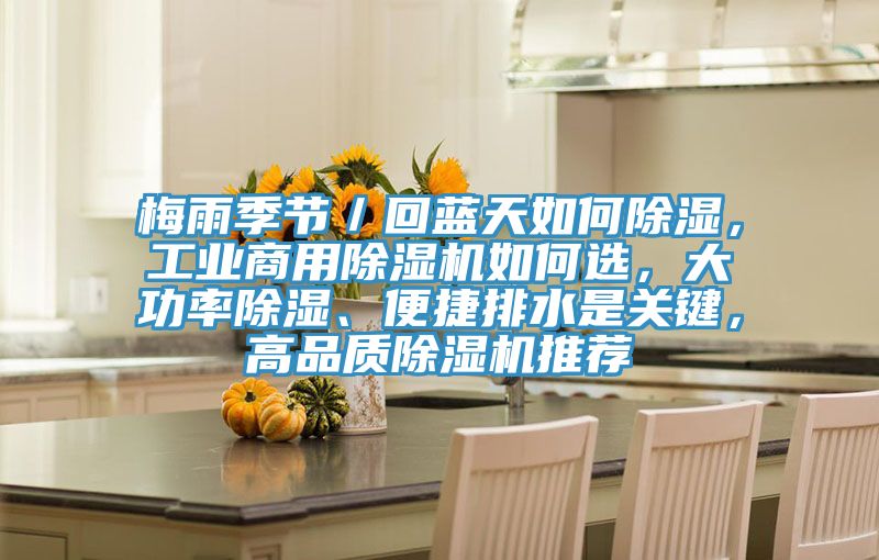 梅雨季節(jié)／回藍(lán)天如何除濕，工業(yè)商用除濕機(jī)如何選，大功率除濕、便捷排水是關(guān)鍵，高品質(zhì)除濕機(jī)推薦