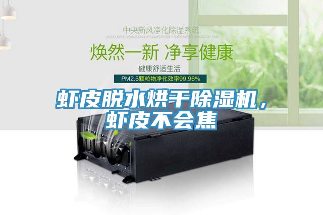 蝦皮脫水烘干除濕機(jī)，蝦皮不會(huì)焦