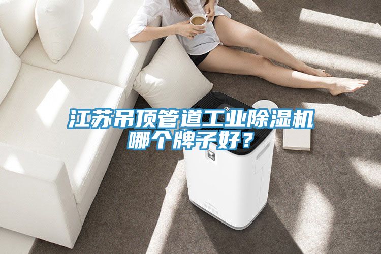 江蘇吊頂管道工業(yè)除濕機哪個牌子好？