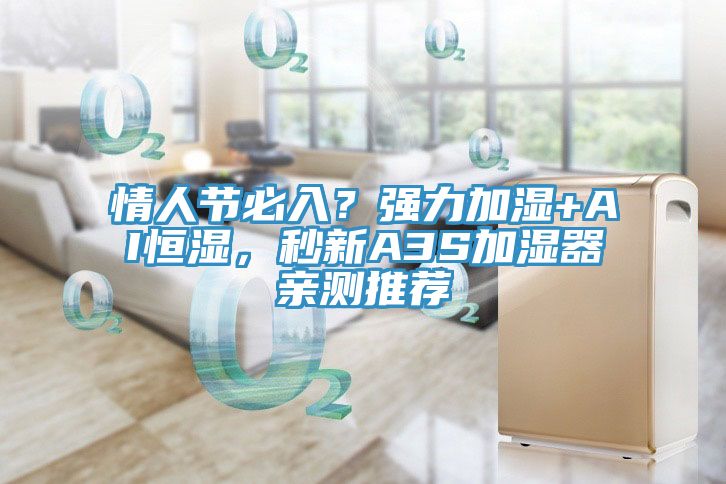 情人節(jié)必入？強(qiáng)力加濕+AI恒濕，秒新A3S加濕器親測(cè)推薦