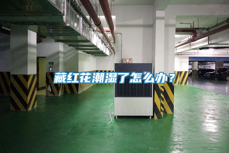 藏紅花潮濕了怎么辦？